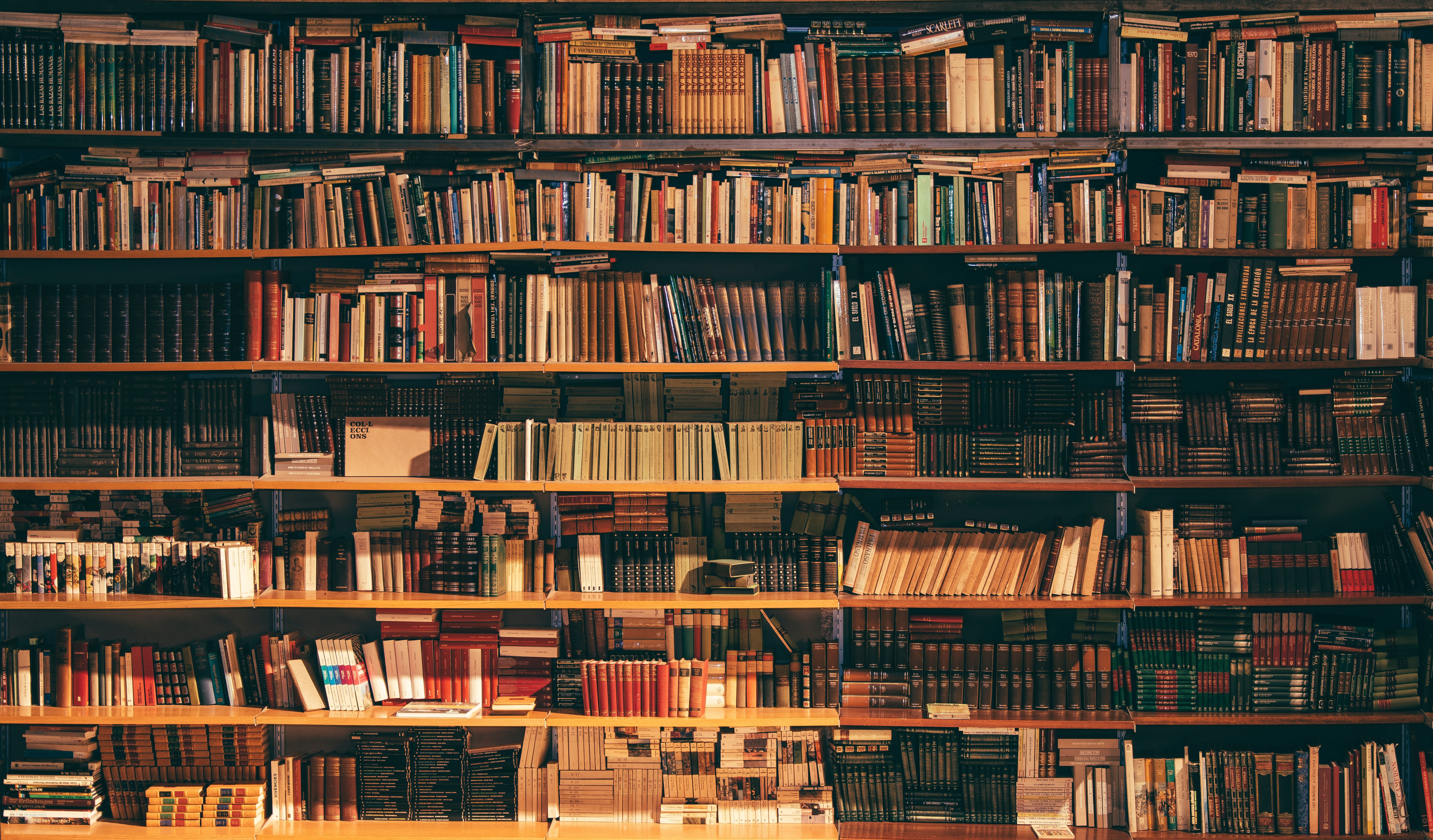 Bind your books for e-readers. /posts/2021-03-05-reliure/alfons-morales-YLSwjSy7stw-unsplash.jpg